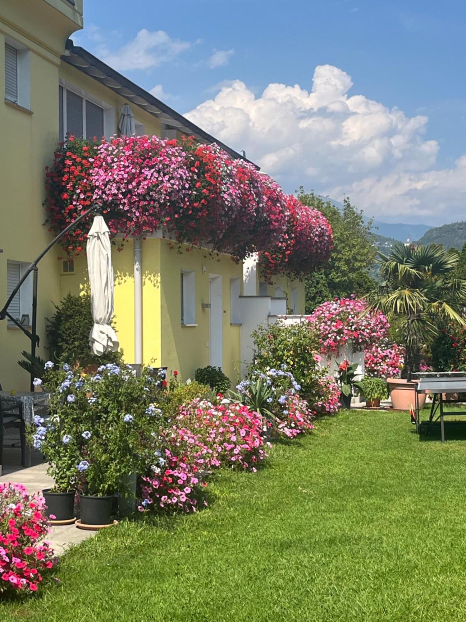 Apartmán Gartenhof Brixen Exteriér fotografie